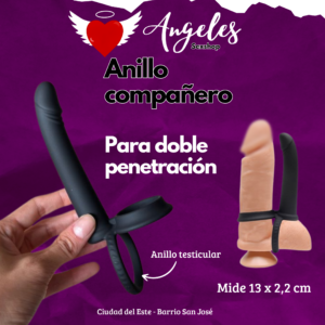 Anillo compañero de 13x2,2cm